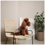 Сукня для тварин Pet Fashion Amelia XXS (4823082446414) - зменшене зображення 7