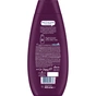 Шампунь Schauma Keratin Strong з екстрактом лопуха 400 мл (9000100852333) - зменшене зображення 2