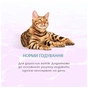 Консерви для котів Optimeal Beauty Harmony смугастий тунець у желе з водоростями 70 г (4820215366236) - зменшене зображення 4