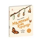 Книга Маленькі дива природи - Рейчел Вільямс Ранок (9786170985606) - уменьшенное изображение 1