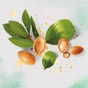 Маска для волосся Herbal Essences Марокканська арганова олія 250 мл (8001841299501) - зменшене зображення 2