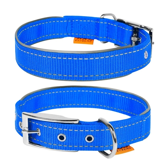 Нашийник для тварин Collar Dog Extremе 25 мм 38-48 см (блакитний) (67042) - зображення 1