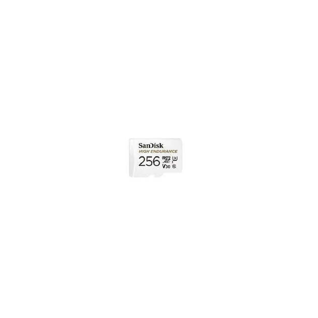 Карта пам'яті SanDisk 256GB microSD class 10 UHS-I U3 V30 High Endurance (SDSQQVR-256G-GN6IA) - зображення 1