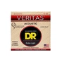Струни для гітари DR Strings VERITAS Coated Core Acoustic Guitar Strings - Extra Light (10-48) (VTA-10) - зменшене зображення 1