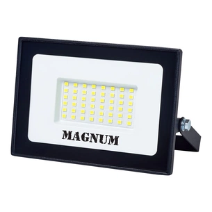 Прожектор MAGNUM FL12 ECO LED 50Вт slim 6500К IP65 (90018085) picture 1