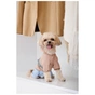 Дощовик для тварин Pet Fashion Tina XL бежевий/блакитний (4823082435197) - зменшене зображення 5