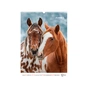 Календар Axent настінний А3 2026 р. Horses (8804-26-3-A) - уменьшенное изображение 13