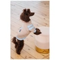 Светр для тварин Pet Fashion Home М (4823082434992) - зменшене зображення 5