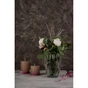 Ваза Trend Glass Kilara 17 см (70253) - зменшене зображення 2