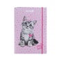 Папка для зошитів Kite В5 на гумці Studio Pets (SP25-210) - зменшене зображення 2