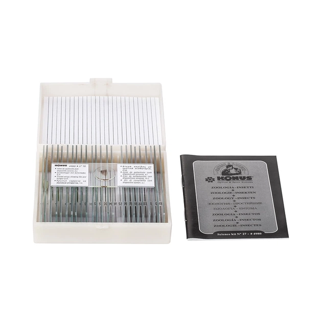 Набір мікропрепаратів Konus Загальна Біологія Зоологія, хребетні, включно зі ссавцями 25 шт (4978) - picture 3