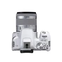 Цифровий фотоапарат Canon EOS 250D 18-55 IS White (3458C003AA) - зменшене зображення 5