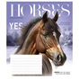 Зошит Школярик Fauna magazine 18 аркушів лінія (018-3428L) - зменшене зображення 5