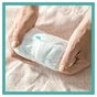 Підгузки Pampers трусики Pants Maxi Plus Розмір 4+ (9-15 кг), 99 шт (8001841133485) - зменшене зображення 4