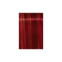 Фарба для волосся Schwarzkopf Professional Igora Royal Fashion lights L-88 Червоний 60 мл (4045787389746) - зменшене зображення 2