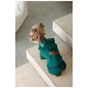 Костюм для тварин Pet Fashion Berry XS (4823082437580) - зменшене зображення 7