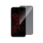 Стекло защитное Intaleo Privacy Apple iPhone XR / Apple iPhone 11 Black (1283126606977) - уменьшенное изображение 2