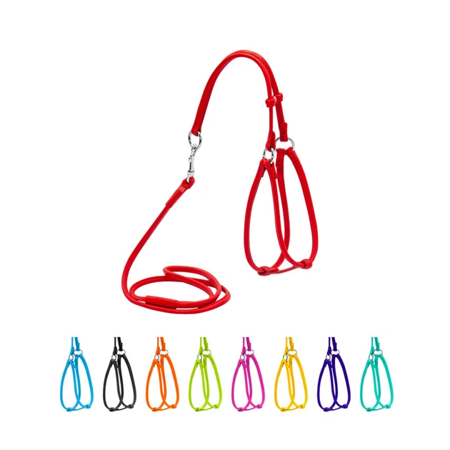 Шлей для собак WAUDOG Glamour круглая, с поводком XS красная (34023) - изображение 1