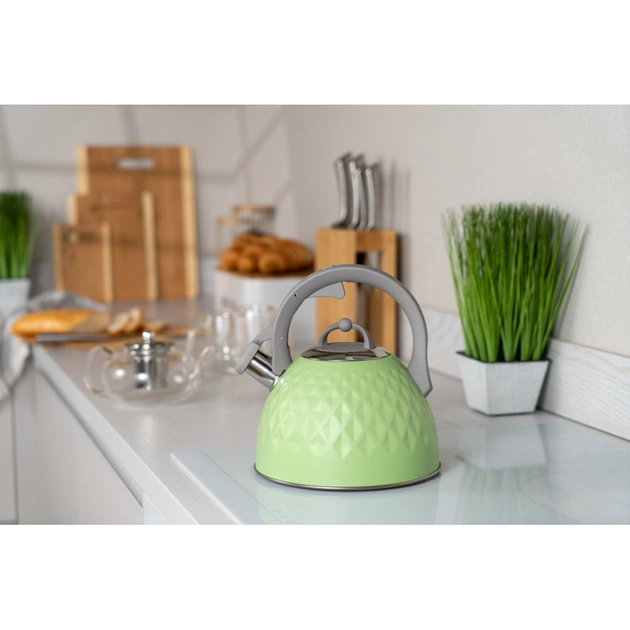 Чайник Ardesto Gemini 2.5 л Green (AR1947KG) - зображення 2