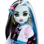 Лялька Monster High Френкі Монстро-класика (HHK53) - зменшене зображення 4