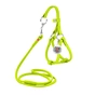 Шлея для собак WAUDOG Glamour з повідцем кругла Д 6 мм А 42-60 см В 46-64 см салатова (34025) - зменшене зображення 1