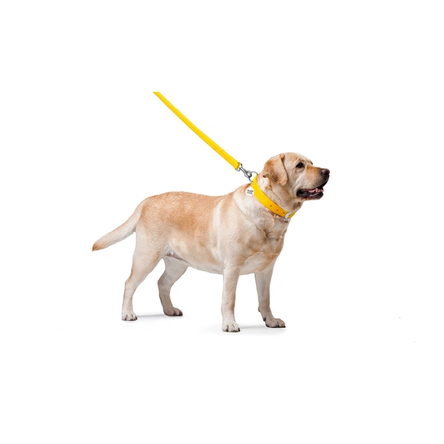 Повідець для собак WAUDOG Glamour шкіряний M-XXL жовтий (33768) - picture 3