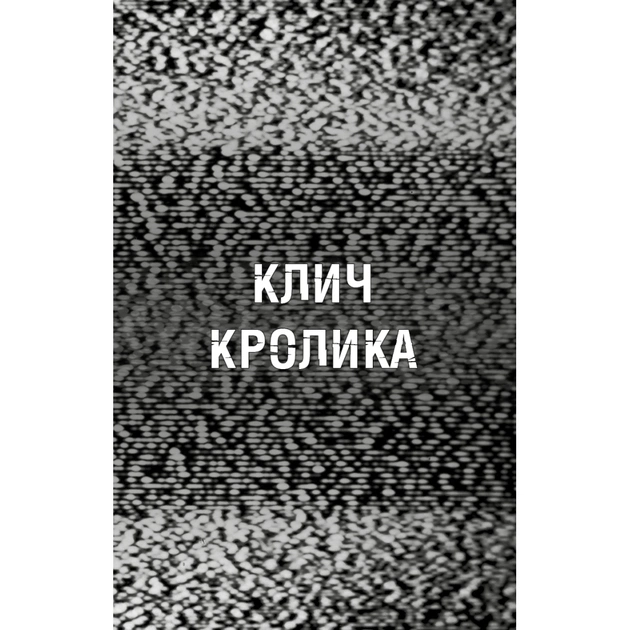 Книга Жахастики Фазбера. Книга 5: Клич кролика - Скотт Коутон, Еллі Купер, Андреа Рейнс Ваггенер BookChef (9786175483046) - зображення 5