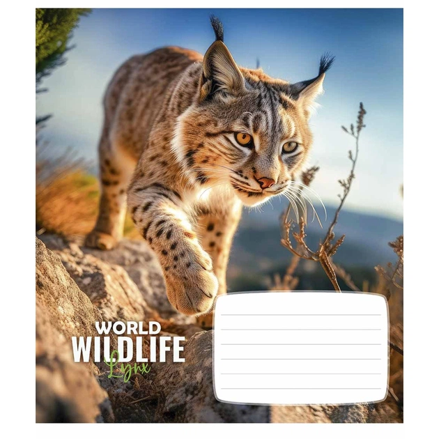 Тетрадь Школярик Wildlife 12 листов клетка (012-3679K) - изображение 1