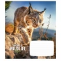Тетрадь Школярик Wildlife 12 листов клетка (012-3679K) - уменьшенное изображение 1