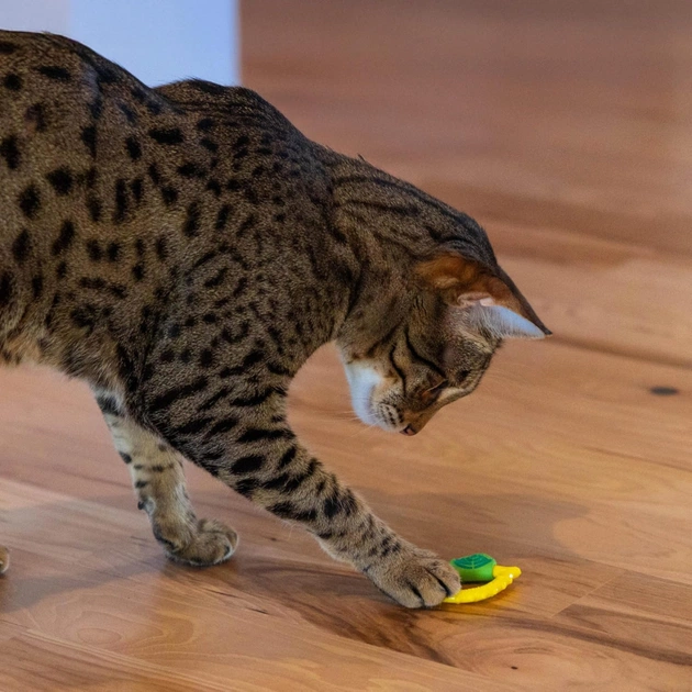 Іграшка для котів Catstages Лимон для жування з ароматом м'яти (0700603720977) - picture 4