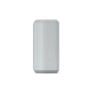 Акустична система Sony SRS-XE300 Grey (SRSXE300H.RU2) зображення 1