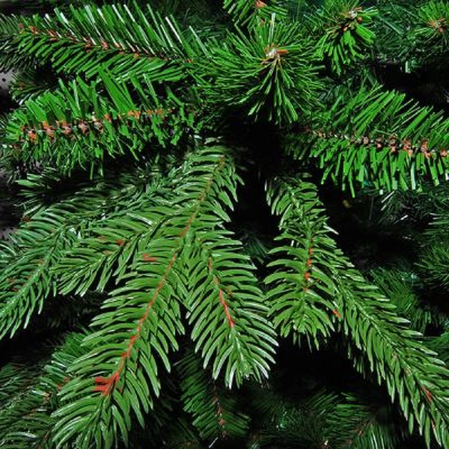 Штучна сосна Triumph Tree Forest Frosted зелена з інеєм 3,05 м (8711473151534) - picture 2