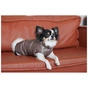 Жилет для тварин Pet Fashion Hardy М2 (4823082437467) - зменшене зображення 4