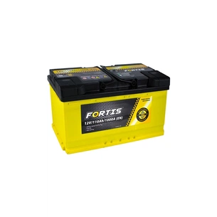 Акумулятор автомобільний FORTIS 110 Ah/12V Euro (FRT110-00) зображення 1