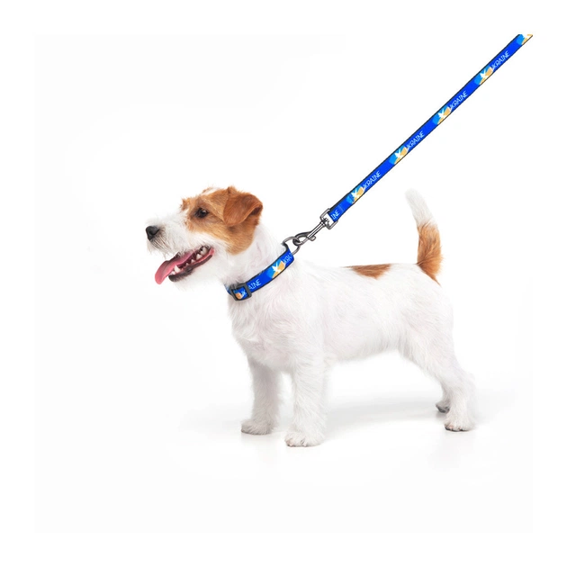 Повідець для собак WAUDOG Nylon "Прапор" L-XXL 25 мм х 122 см (4925-0229) - picture 4