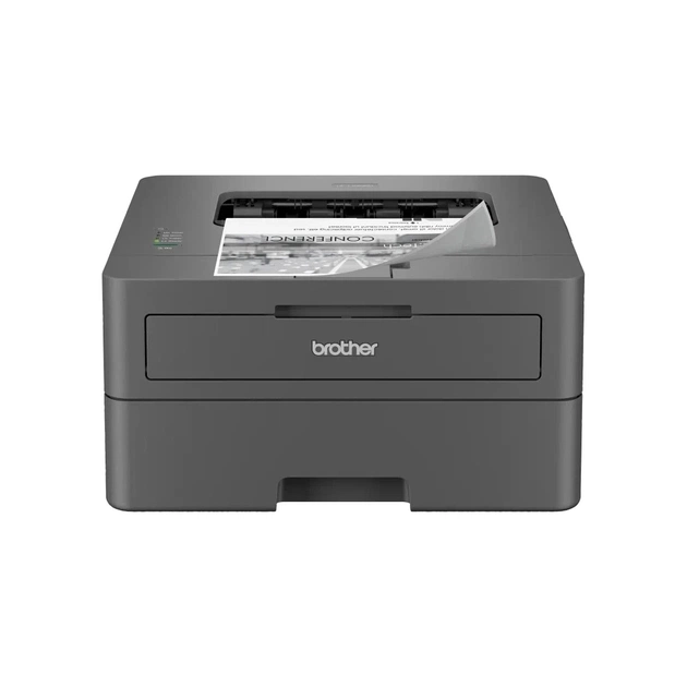 Лазерный принтер Brother HL-L2402DYJ1 (HLL2402DYJ1) - изображение 1