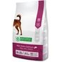 Сухий корм для собак Nature's Protection Mini extra Salmon Adult Small breeds 2 кг (NPS45737) - зменшене зображення 1