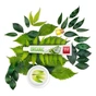Зубна паста Splat Special Organic 75 мл (4603014001009) - зменшене зображення 3