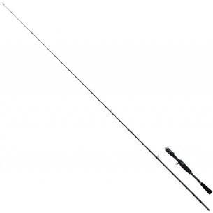 Вудилище Shimano Sustain AX 72XXH 2.18m 56-135g Casting (CSUSAX72XXH) зображення 1