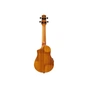 Укулеле Ibanez AUC10E OPN (234983) - уменьшенное изображение 2