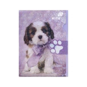 Папка - куточок Kite із клапаном A4 Rachael Hale (R25-248) изображение 1