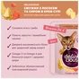 Вологий корм для кішок Delickcious Смужки з лососем та сиром в крем-супі 85 г (4820269141803) - зменшене зображення 3