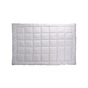 Ковдра Руно Elegante + 2 подушки 50х70, 172 х 205 (925.52_Elegante) - зменшене зображення 1