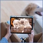 Чохол до планшета BeCover Soft Edge TPU Apple Pencil Apple iPad Air (4/5) 2020/2022 10.9" Blue Haze (711697) - зменшене зображення 6
