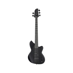 Бас-гітара Ibanez TMB425B BKF (236711) зображення 1