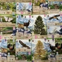 Настільна гра Lord of Boards Лісова метушня. Альпи (Forest Shuffle: Alpine Expansion) (укр.) доповнення (LOB2405UA) - зменшене зображення 4