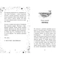 Книга Елзі Піклз. Відьмочка взимку - Кей Уманські Ранок (9786170986214) - зменшене зображення 4