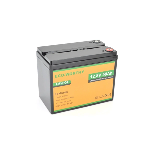 Батарея LiFePo4 Dyness 12,8V 50Ah (50/50A) (Eco-Worthy-1250) - зображення 1