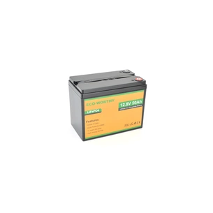 Батарея LiFePo4 Dyness 12,8V 50Ah (50/50A) (Eco-Worthy-1250) изображение 1