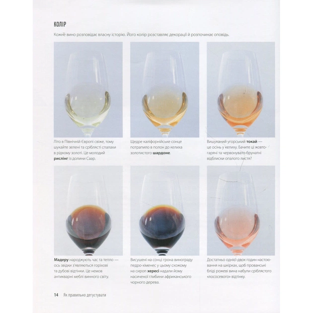 Книга Вино. Курс Ендрю Джеффорда Vivat (9789669426833) - picture 12